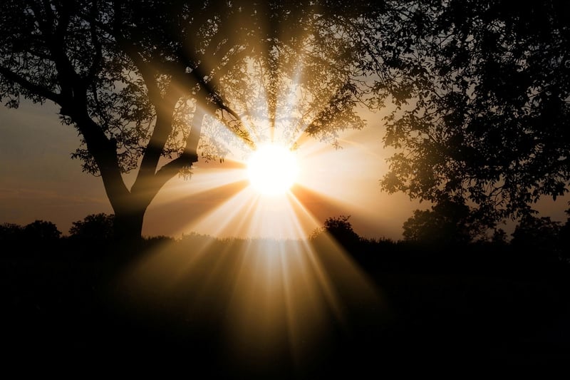 Sunbeam Chic